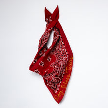 Load image into Gallery viewer, Dog Bless Texas Chain Stitch Bandana
